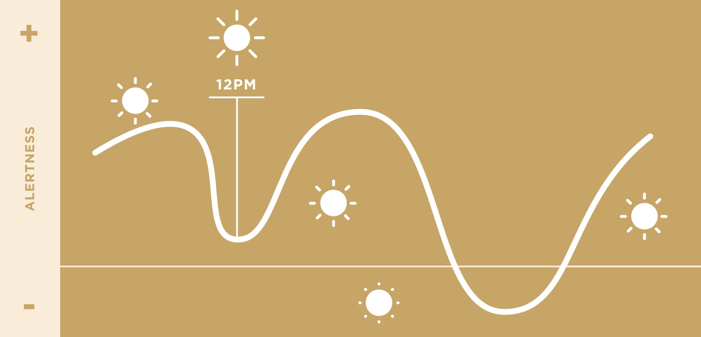 circadian-rhythm