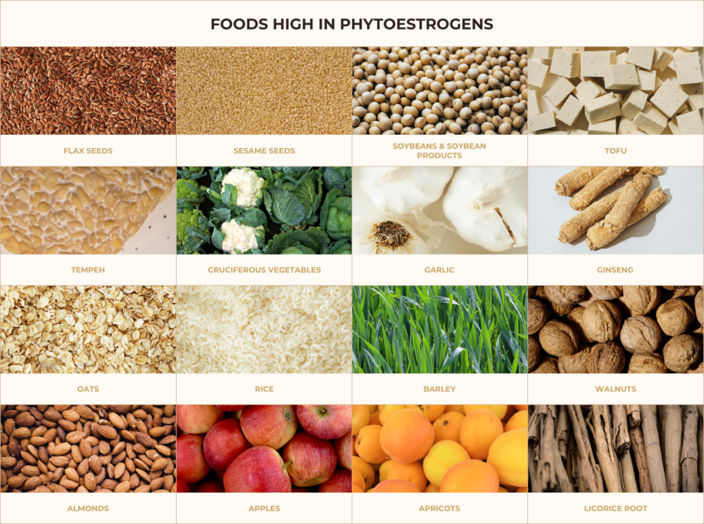 Foods High in Phytoestrogens