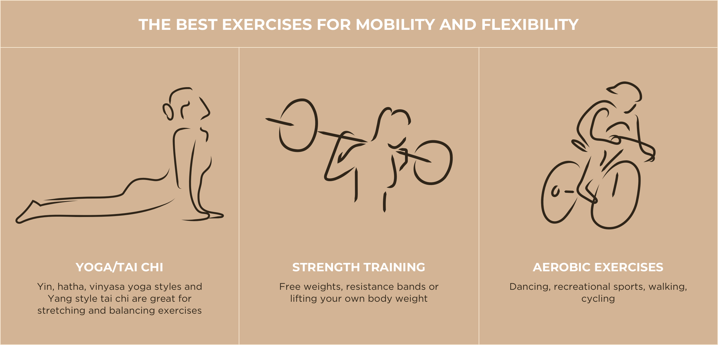 The Best Exercises for Mobility and Flexibility