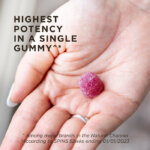 A person's hand with one serving of Solgar Ultra Potency Zinc Gummies in it. The gummy is purple with a dusting of sugar crystals on it as it is mixed fruit flavored. The image says, "Highest potency in a single gummy among major brands in the natural channel (according to SPINS 52 weeks ending 01012023)"