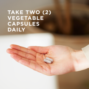 Two of Solgar's Bilberry Ginkgo Eyebright Complex Plus Lutein Vegetable Capsules held in an open hand. Text reads "take two vegetable capsules daily"