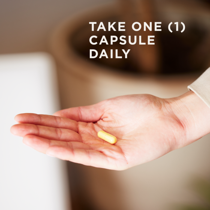 A single vegetable capsule of Solgar's B-Complex "100" supplement is held in the palm of a hand. Text reads "take one capsule daily"