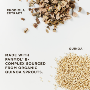 Piles of two of the active ingredients in Solgar's Daily Stress Support vegetable capsules (rhodiola extract and quinoa) lay on a white surface. Text overlaid reads "made with panmol B-complex sourced from organic quinoa sprouts."